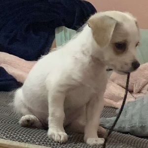 Meet your Posher, Jackie